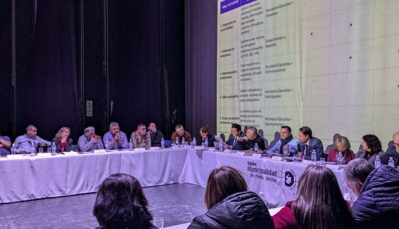 sostenibilidad salmonicultora: Éxito del plan salmón 2050 en magallanes