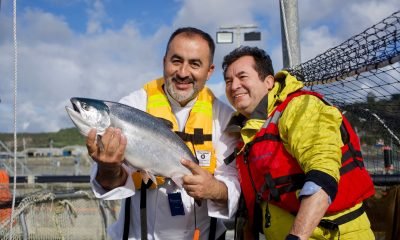 chefs nacionales exploran el ciclo productivo del salmon chileno