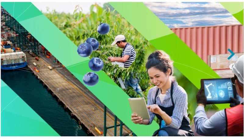 enexpro prochile impulsa exportaciones de los lagos y chile a 27 mercados