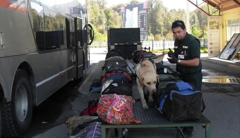sag intensifica controles en fronteras de los lagos durante fiestas patrias