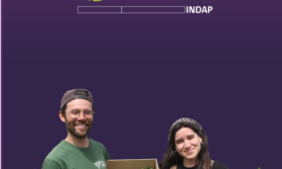 indap abre postulaciones a "tierra joven" para jóvenes agricultores