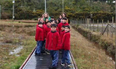 nodo ambientalista impulsa educacion ambiental en pargua los lagos