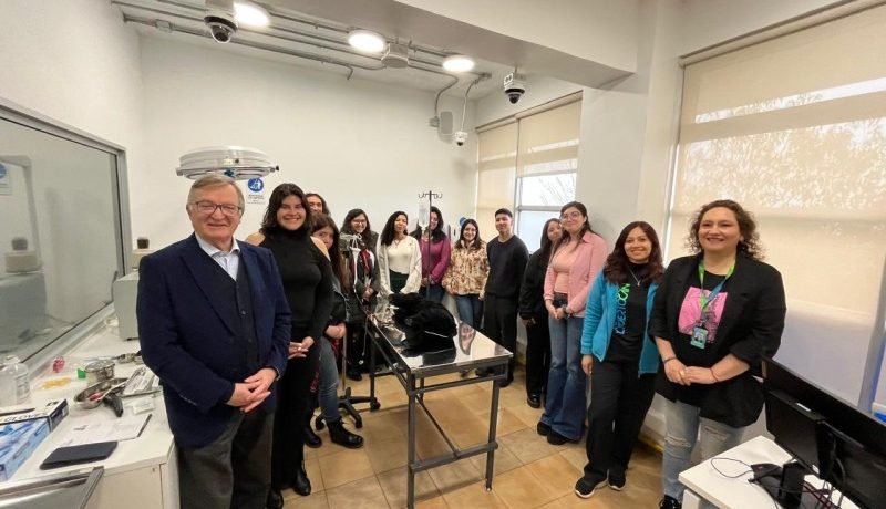 perros de alerta medica innovacion ust protege adultos mayores en puerto montt