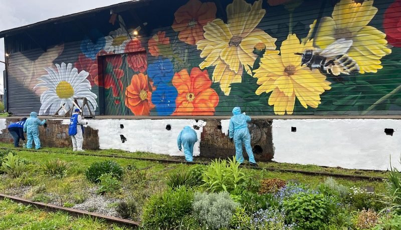 galpón estación de puerto varas luce nueva fachada con apoyo de chile pinta 2025