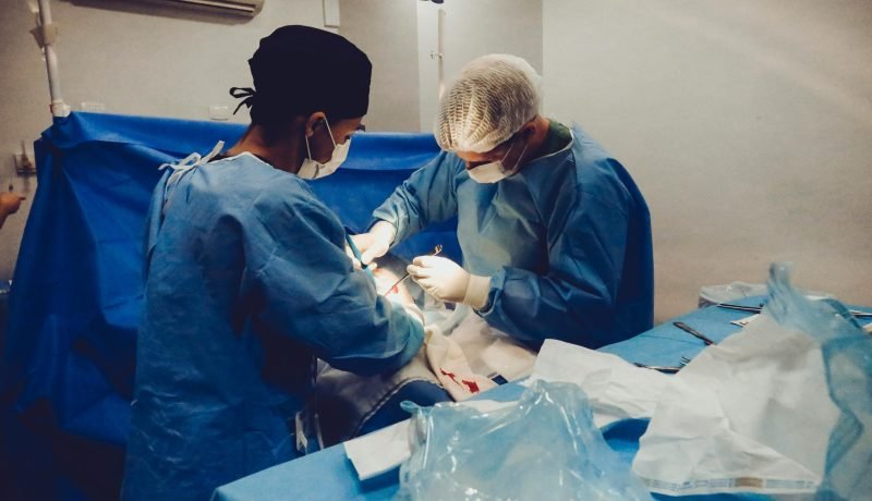 día del donante de Órganos: salva vidas y derrumba mitos en chile