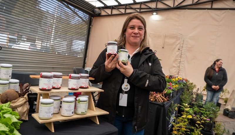 feria juventudes rurales: sabores del campo en puerto varas