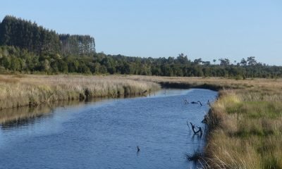 plan hídrico río maullín: abierta consulta ciudadana para los lagos