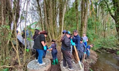 escuela loncotoro comunidad revitaliza bosque y estero para nuevo espacio educativo
