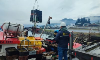 sernapesca intensifica fiscalizacion contra pesca ilegal en zona los lagos aysen