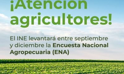 encuesta nacional agropecuaria ena 2025 inicio del sondeo clave para el agro chileno