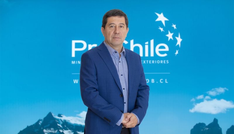 mesa comercio exterior los lagos impulsa exportaciones regionales