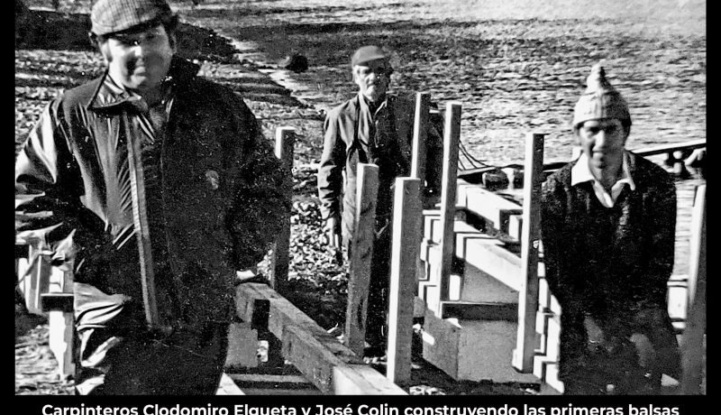 puerto montt celebra 50 años de salmonicultura con exposición y concurso fotográfico