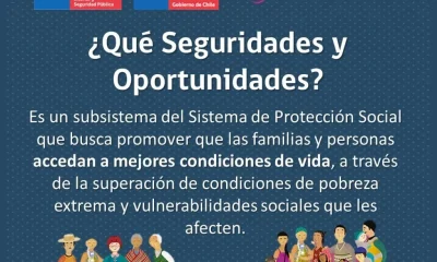 bono de protección: el beneficio detrás del "dueña de casa"