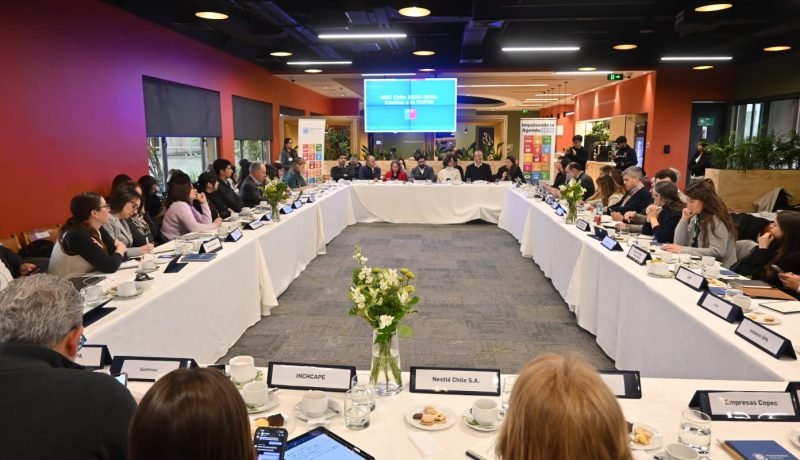 salmonchile y el compromiso por la sostenibilidad en pacto global onu