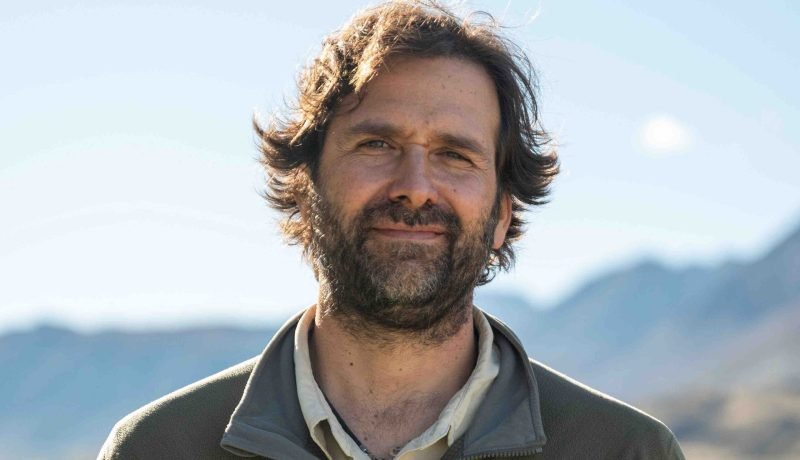 perros asilvestrados: amenaza crítica para fauna y ganadería chilena