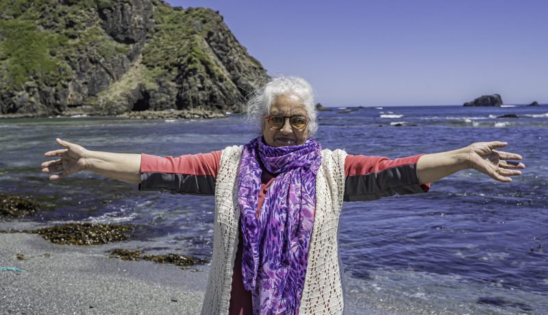 nuevos heroes 2025 abren postulaciones para reconocer el impacto social en chile