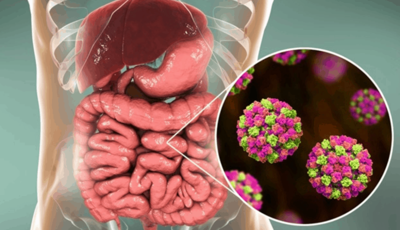 alerta por norovirus en los lagos: expertos llaman a extremar higiene